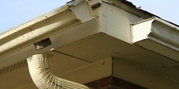 gallery_915-negutters1-2_1727780779.jpg